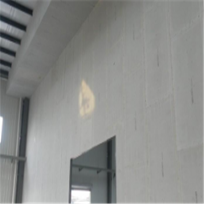东光宁波ALC板|EPS加气板隔墙与混凝土整浇联接的实验研讨